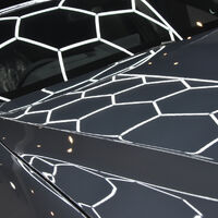 画像19895