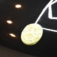画像3733
