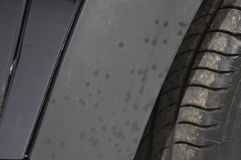 DSC_0398